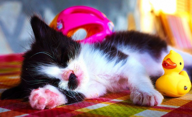 Sleep soundly at night with our home security system